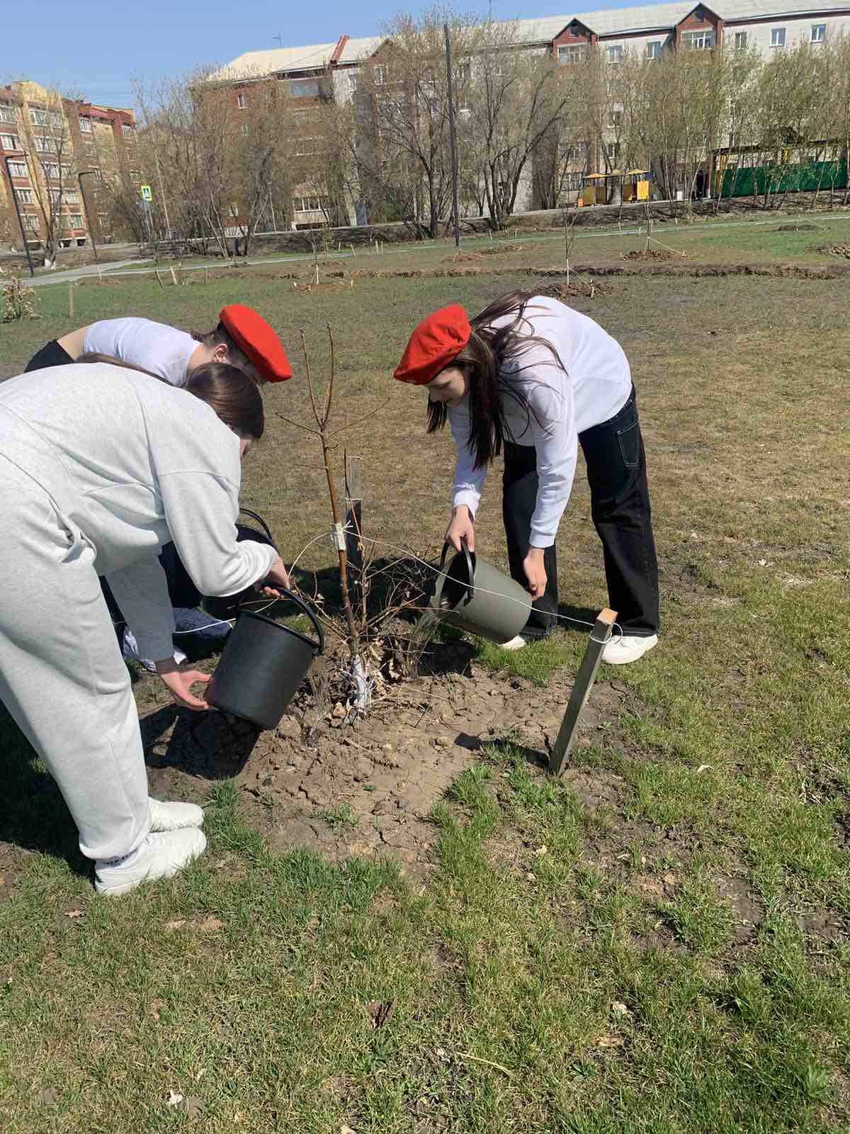 Картинка трудовой десант