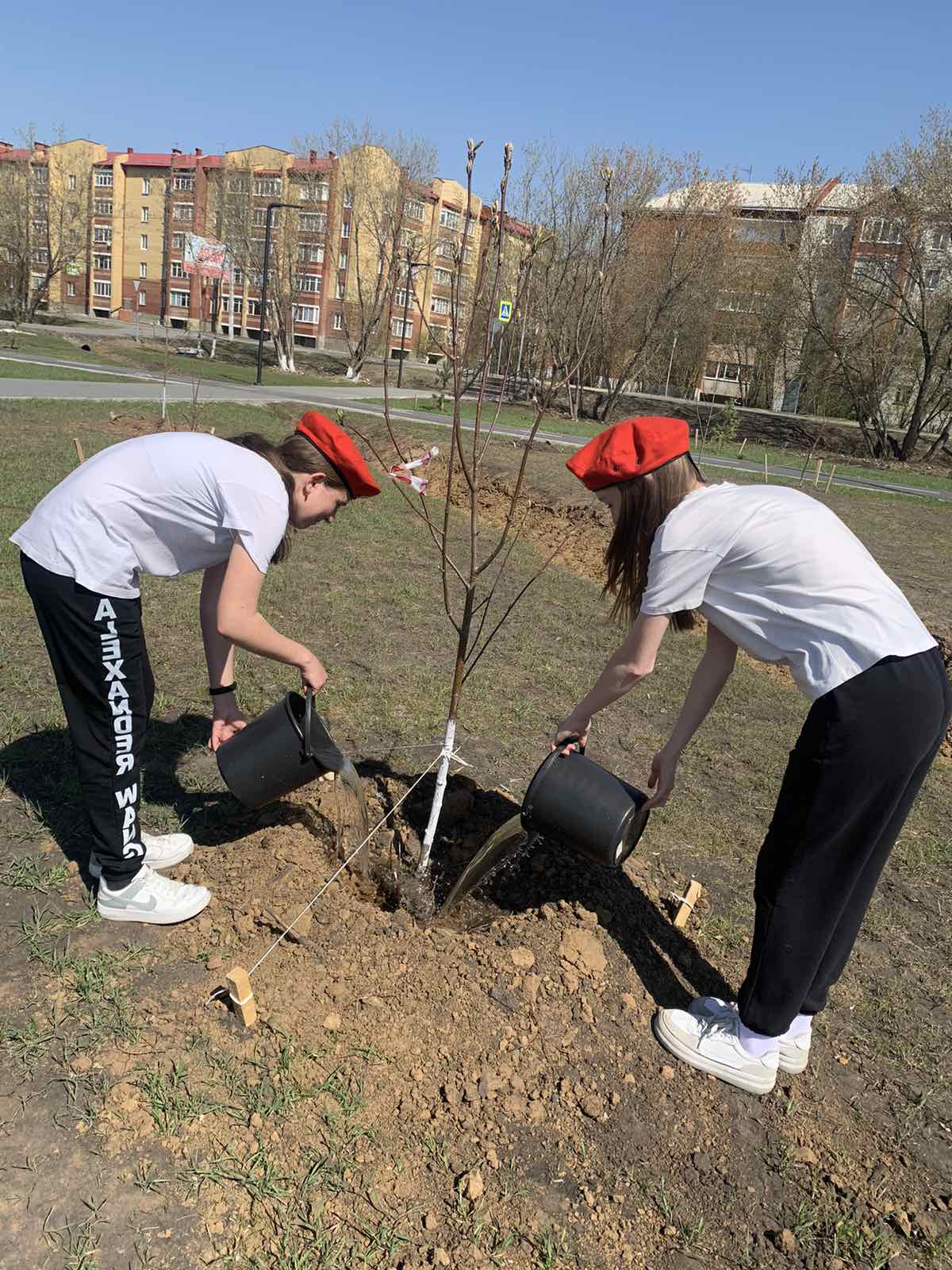 Картинка трудовой десант